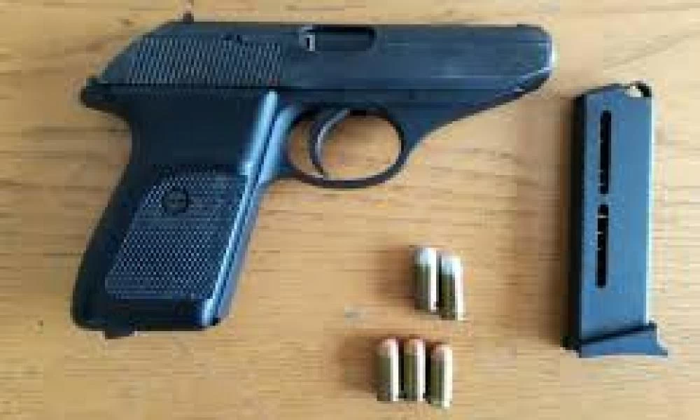 Αυστρία: Κατασχέθηκαν όπλα, φυσίγγια, εκρηκτικές ύλες και χειροβομβίδες με προορισμό τη Γερμανια